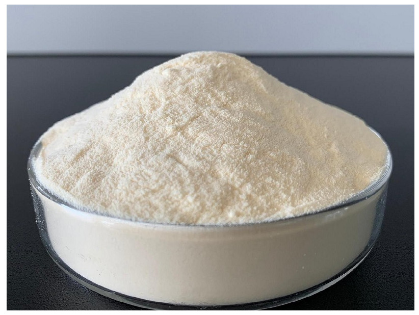 Vitamin E API Vacuum Single Cone Dryer